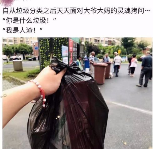 高娓娓:被“垃圾分类”逼疯?来看看美国人怎么倒垃圾