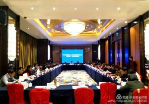 高娓娓：安徽省侨联召开2018世界制造业大会和中国国际徽商大会“百家侨企”项目对接推进会