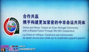 高娓娓：美国媒体怎么报道“中非合作论坛北京峰会”