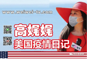 高娓娓疫情日记：海外华人到底该不该回国