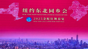 高娓娓:2025纽约东北同乡会“金蛇狂舞春宴”圆满举行