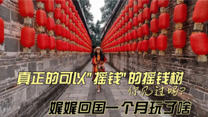 真正的可以&quot;摇钱&quot;的摇钱树你见过吗?娓娓这一个月回国玩了啥
