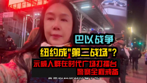 中东叙利亚战争,巴以战争,纽约成&quot;第二战场&quot;?示威人群在时代广场打擂台 警察全程戒备