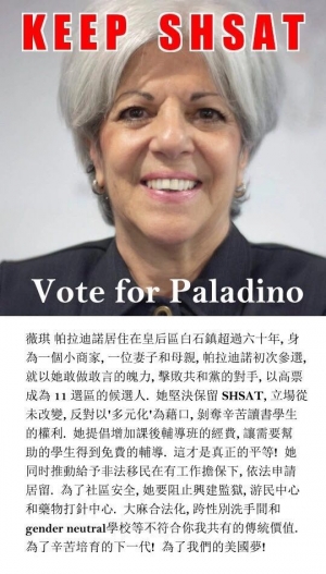 高娓娓：Vote for Vickie Paladino——访问纽约州参议院候选人Vickie Paladino