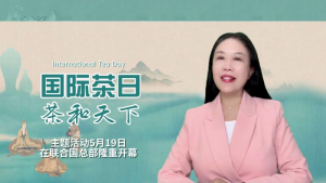 美国V视：2023“国际茶日 茶和天下”主题活动于5月19日在联合国总部隆重开幕！
